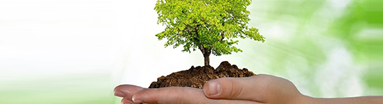 Compromiso de Excelencia