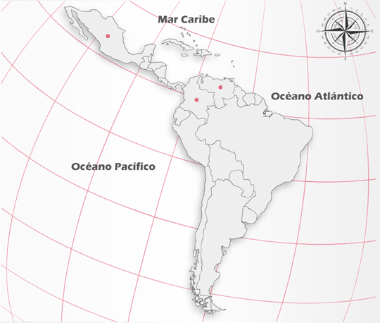Canales de distribución Corporación ECRS, C.A.